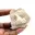 Dente fossile di Otodus dal Marocco — 9