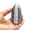 Orthoceras fossile dal Marocco - 1