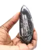 Orthoceras fossile - 1