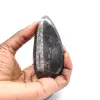Orthoceras fossile - 1