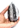Orthoceras fossile - 1