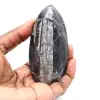 Orthoceras fossile dal Marocco - 1