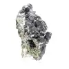 Pezzo da Collezione Sfalerite e Pirite - 2