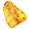Grande ciottolo di ambra gialla dalla Lituania – Fossile da collezione - 0