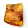 Resina fossile di ambra baltica – Ciottolo per appassionati - 0