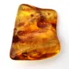 Resina fossile di ambra baltica – Ciottolo per appassionati - 2