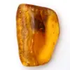 Ambra baltica – Oggetto di mineralogia - 0