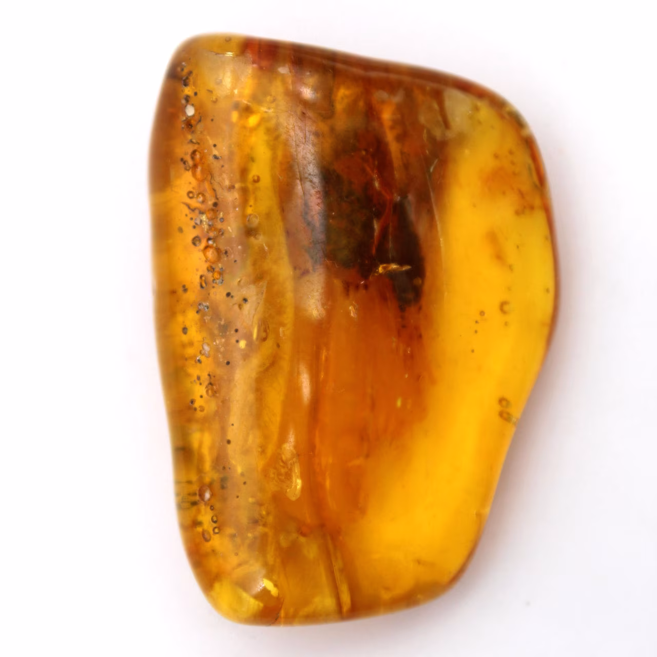Ambra baltica – Oggetto di mineralogia
