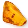 Ambra baltica gialla – Ciottolo lucidato, oggetto decorativo - 0