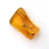 Mini ciottolo di ambra gialla baltica – Fossile per decorazione - 0