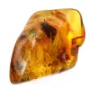 Ciottolo di ambra baltica lucidata - Pietra da collezione naturale - 0