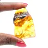 Autentico ciottolo di ambra lucidato dalla Lituania - Esemplare di mineralogia - 1