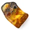 Autentico ciottolo di ambra lucidato dalla Lituania - Esemplare di mineralogia - 2