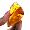 Ambra baltica lucidata: esemplare di ciottolo da collezione - 1