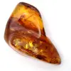 Ambra baltica lucidata: esemplare di ciottolo da collezione - 0