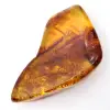 Ambra baltica lucidata: esemplare di ciottolo da collezione - 2