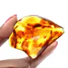 Ambra lituana lucidata: ciottolo per la collezione Fossil - 1