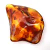 Ambra lituana lucidata: ciottolo per la collezione Fossil - 2