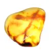 Piccolo ciottolo di ambra lituana lucidata - Autenticità e scienza - 0