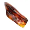 Ciottolo d'ambra lucidato dalla Lituania - Oggetto decorativo minerale - 0