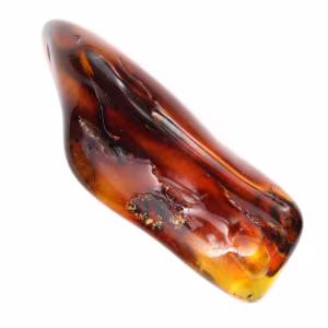 Ciottolo d'ambra lucidato dalla Lituania - Oggetto decorativo minerale