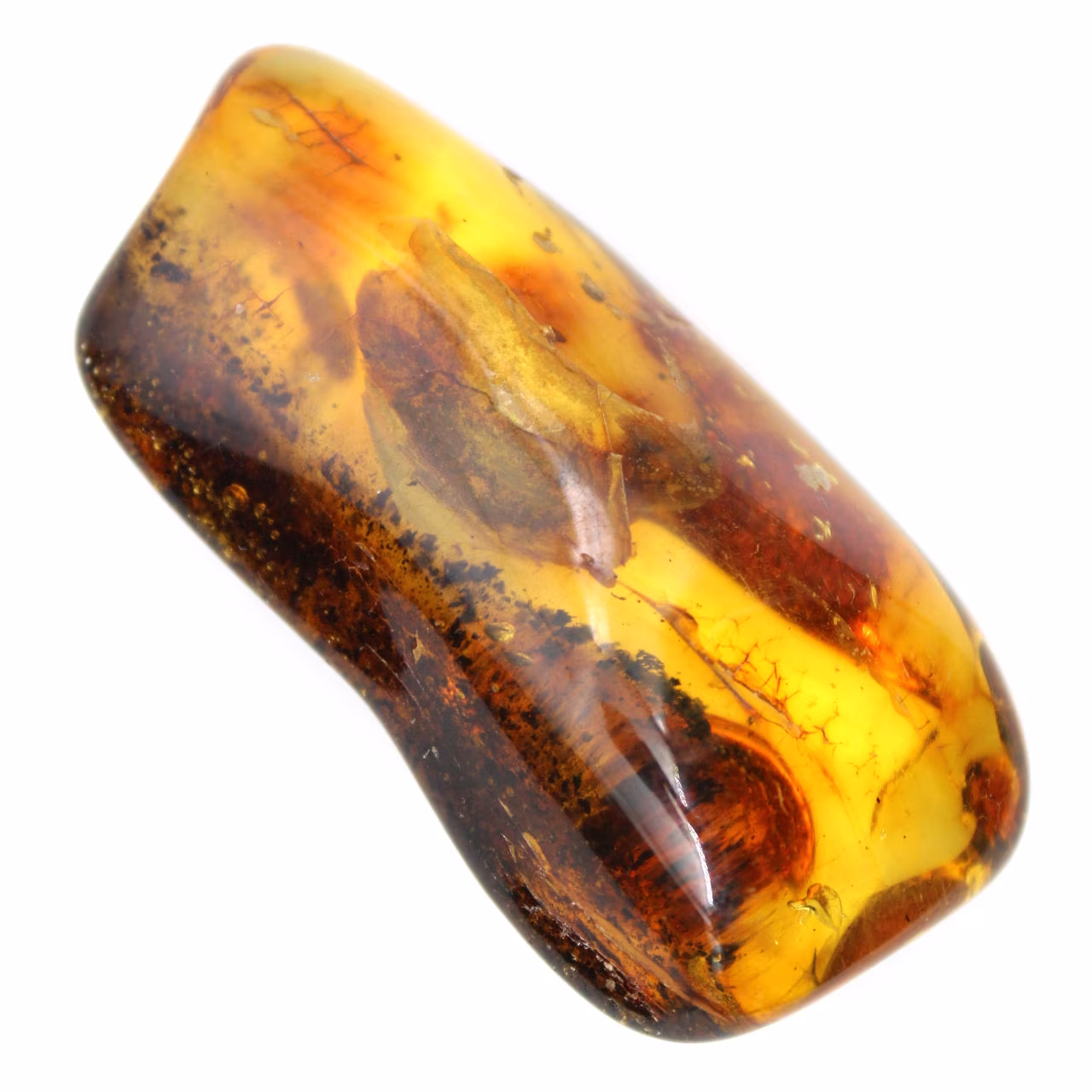 Piccolo ciottolo d'ambra lucidato dalla Lituania - Collezione mineralogica