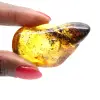 Piccolo ciottolo di ambra baltica lucidata - Autenticità garantita - 1