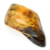 Piccolo ciottolo di ambra baltica lucidata - Autenticità garantita - 2
