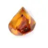 Piccolo esemplare di ciottolo d'ambra lucidato - Lituania autentica - 2