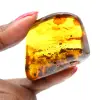 Grande ciottolo di ambra lituana lucidata - Minerale da collezione - 1