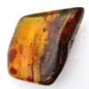 Grande ciottolo di ambra lituana lucidata - Minerale da collezione - 2