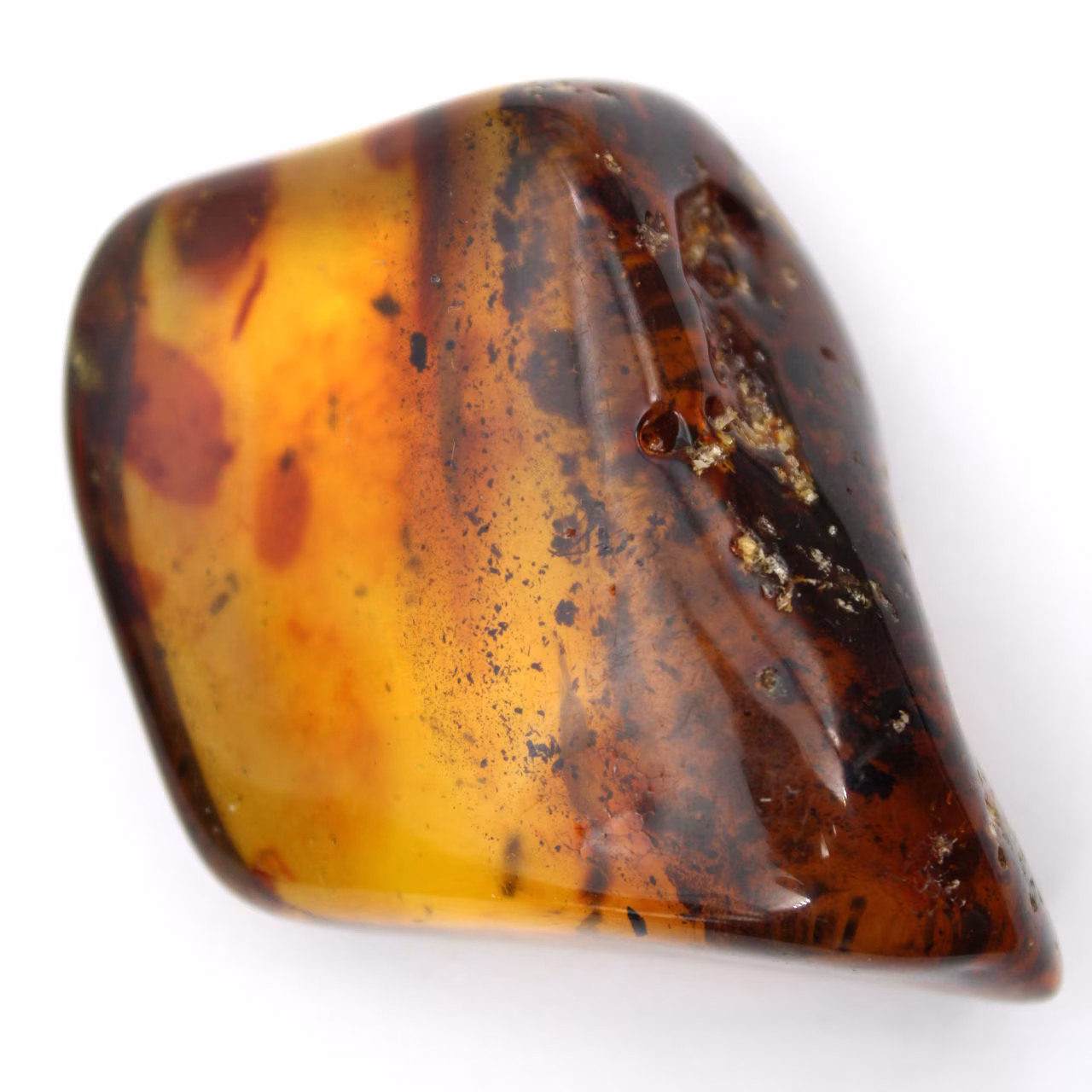 Grande ciottolo di ambra lituana lucidata - Minerale da collezione