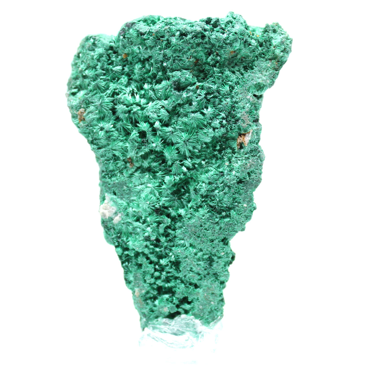 Malachite fibrosa grezza del Congo