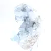 Esemplare decorativo di celestina blu del Madagascar - 1