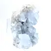Esemplare decorativo di celestina blu del Madagascar - 2