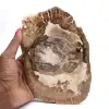 Ornamento in legno pietrificato, fetta lucidata, oggetto da collezione, Madagascar - 0
