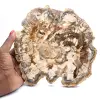 Legno fossilizzato (fetta), ornamento lucidato, pezzo da collezione, Madagascar - 0