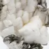 Piccolo esemplare di mica su quarzo bianco - 7