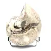 Ammonite da collezione lucidata del Madagascar - Autentico esemplare decorativo - 1