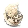 Ammonite da collezione lucidata del Madagascar - Autentico esemplare decorativo - 3