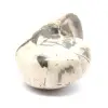 Esemplare di ammonite dal Madagascar - Fossile lucidato per collezionisti - 2