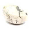 Esemplare di ammonite dal Madagascar - Fossile lucidato per collezionisti - 3