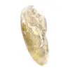 Ammonite fossile lucidata dal Madagascar - Esemplare stretto e snello - 3