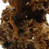 Barite Ouichane, cristalli marroni - 4