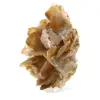 Barite marrone marocchina (da collezione) - 2