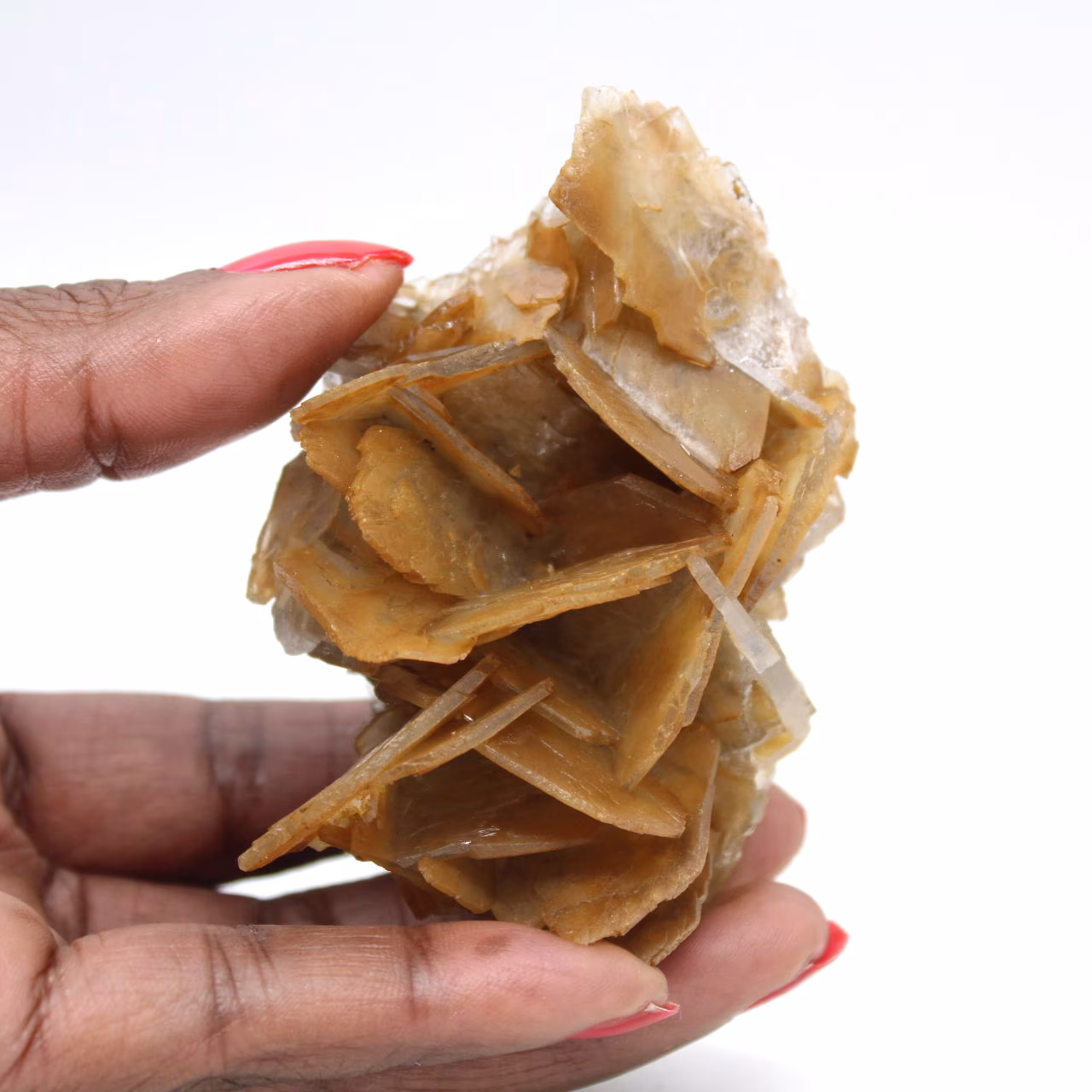 Barite marrone marocchina (da collezione)