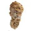 Esemplare in miniatura di barite dal Marocco - 2