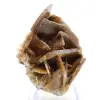 Cristalli compatti di barite dal Marocco - 1
