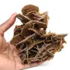 Barite marrone cristallizzata dal Marocco - 0