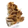 Cristalli marroni di barite da Ouichane - 3